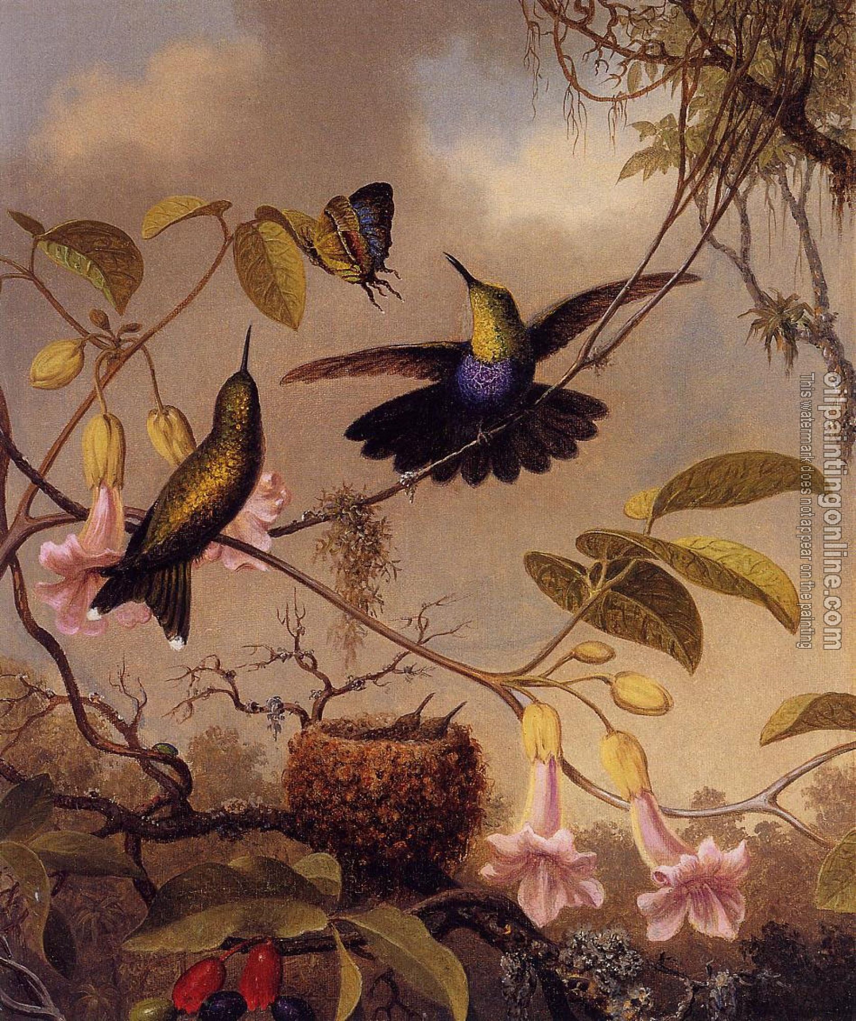 Heade, Martin Johnson - Fort-Tailed Woodnymph